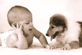 Uomini e animali